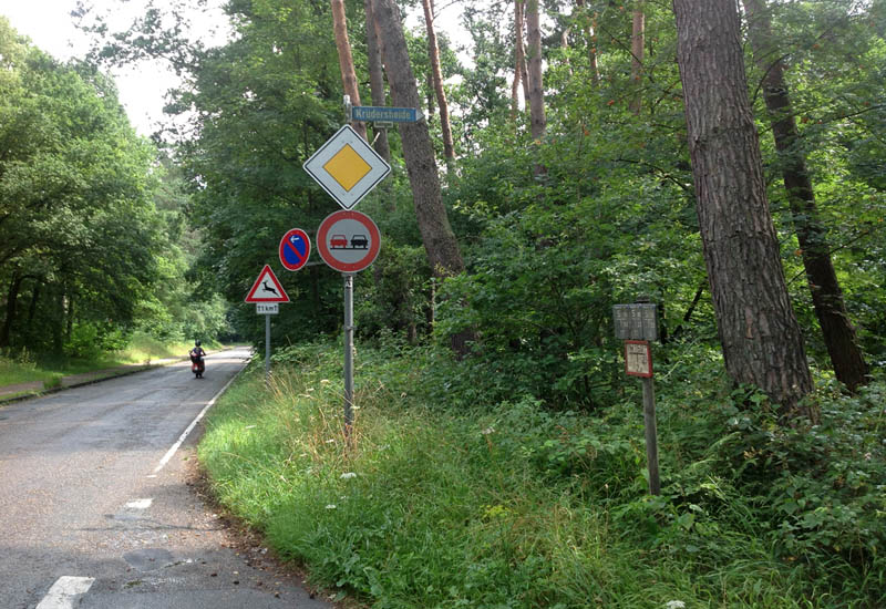 Wahner Heide | Königsforst, Veranstaltung: Botanische Wanderung in der ...