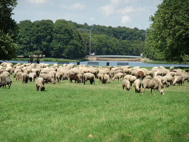 Veranstaltung